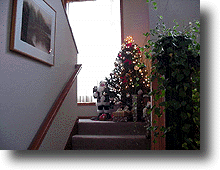 Chrstree.gif (26031 バイト)
