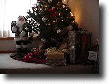 Present.gif (25191 バイト)