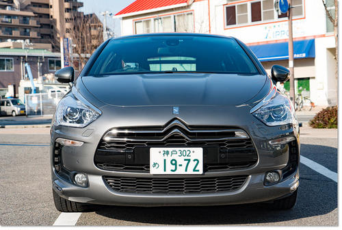 0205DS5-10.jpg