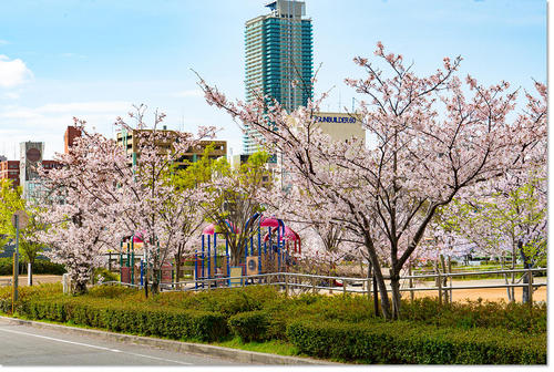 0405sakura02.jpg