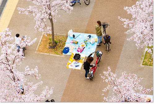 0405sakura07.jpg