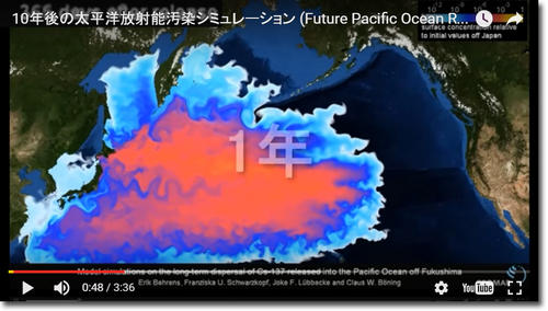 oceansimulation-1year.jpg