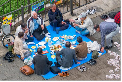 0409Hanami12.jpg