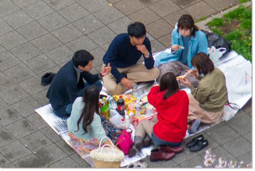 0409Hanami13.jpg