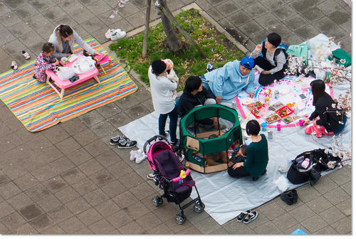 0409Hanami15.jpg