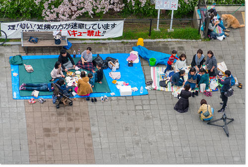 0409Hanami18.jpg