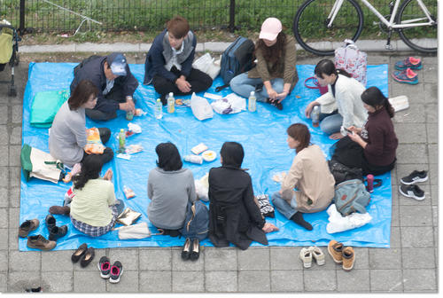 0409Hanami23.jpg