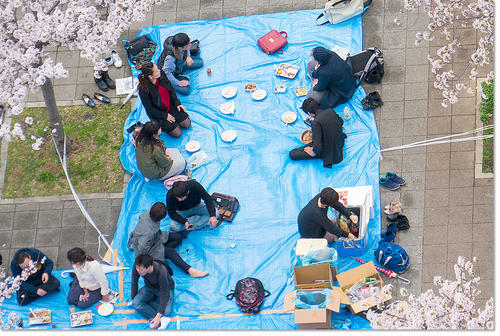 0409Hanami27.jpg