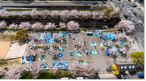 0401hanami01.jpg