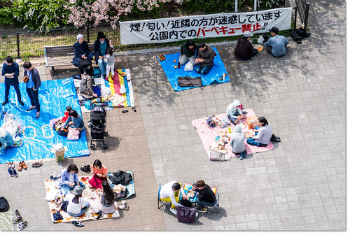 0401hanami15.jpg