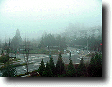 Foggy.gif (25114 oCg)