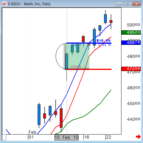 0210BIDU.gif