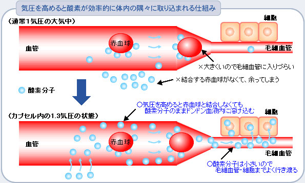 o2capcell-reason01.jpg