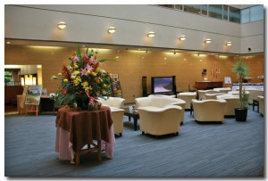 Arimaspa01.jpg