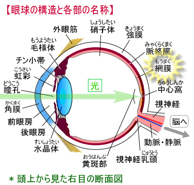 20121025eyedoc10.jpg