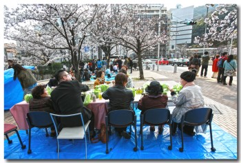 20120408hanami09.jpg