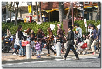 20120408hanami11.jpg