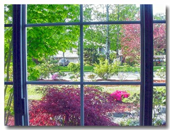 20120515garden03.jpg