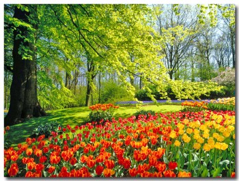 Garden03B.jpg
