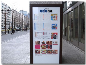 odona06.jpg