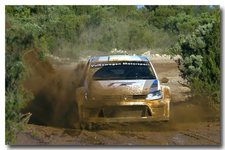 poloR-WRC19.jpg