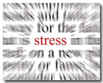 stress20120312.jpg