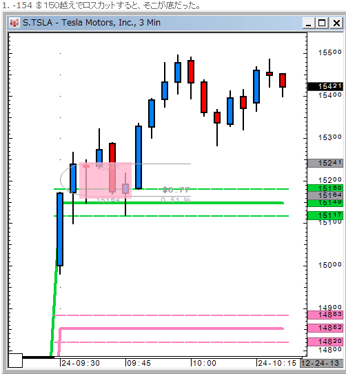 TSLA1224-3-2.gif