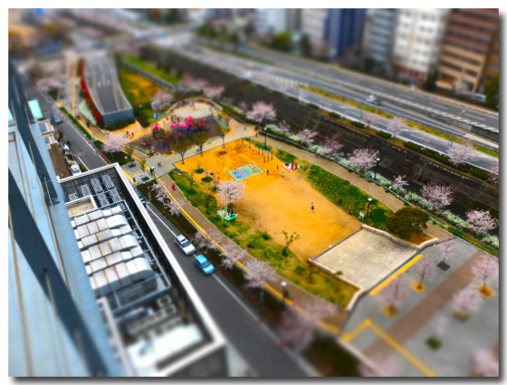 0329ipark01.jpg