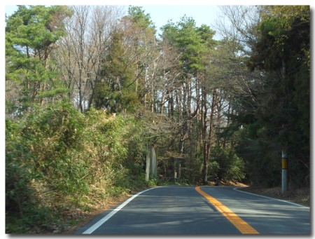 0330drive08.jpg