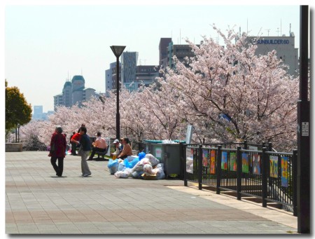 0405sakura09.jpg