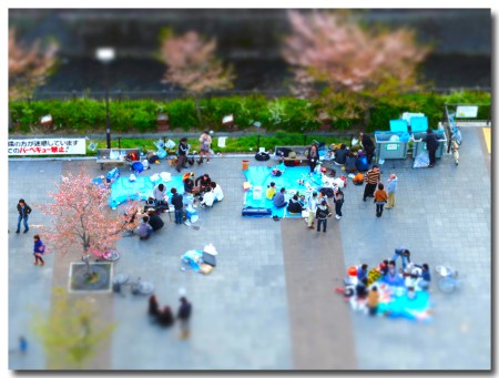 0407hanami09.jpg