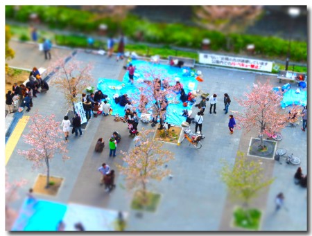 0407hanami10.jpg