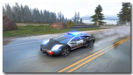 0413copcar07.jpg