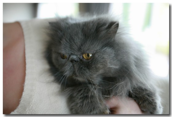 0422moko01.jpg