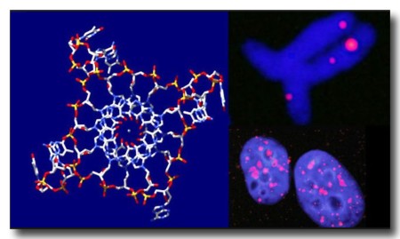 0425TripleDNA.jpg