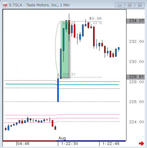 TSLA0801-1.gif