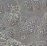 biopicture2.jpg