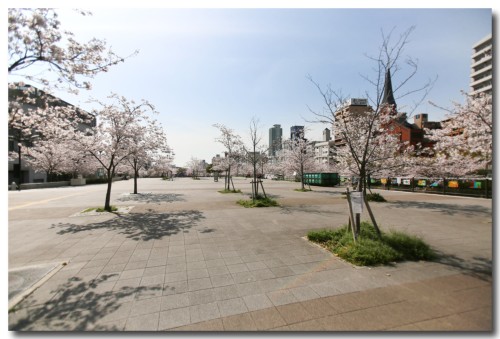 0402sakura06.jpg