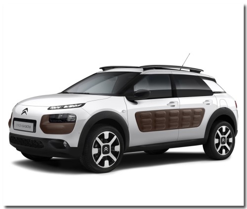 citroenCactus01.jpg