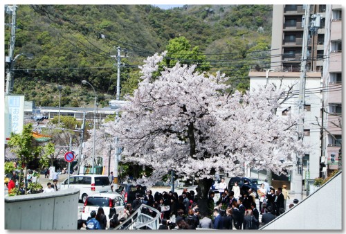 0404ikutagawa01.jpg