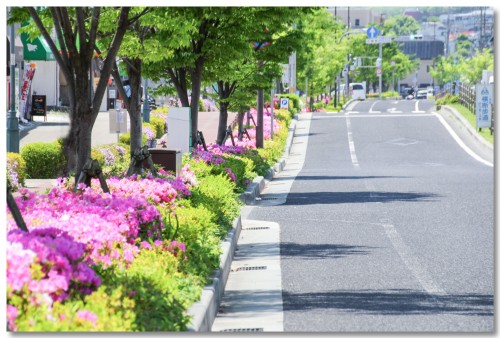 0505flowersroadside02.jpg