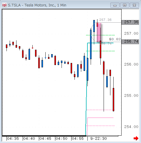 tsla1.gif