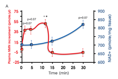 nmnchart.jpg