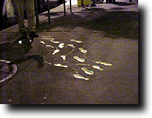 Steps.gif (32684 バイト)