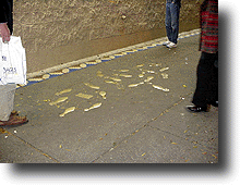 Steps2.gif (29299 バイト)