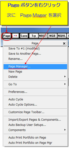 pagemanagar01-2.jpg