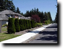 Street.JPG (16264 バイト)