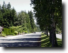 Street2.JPG (17951 バイト)