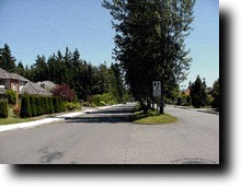 Street3.JPG (15005 バイト)