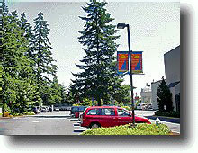 park2.JPG (20420 バイト)